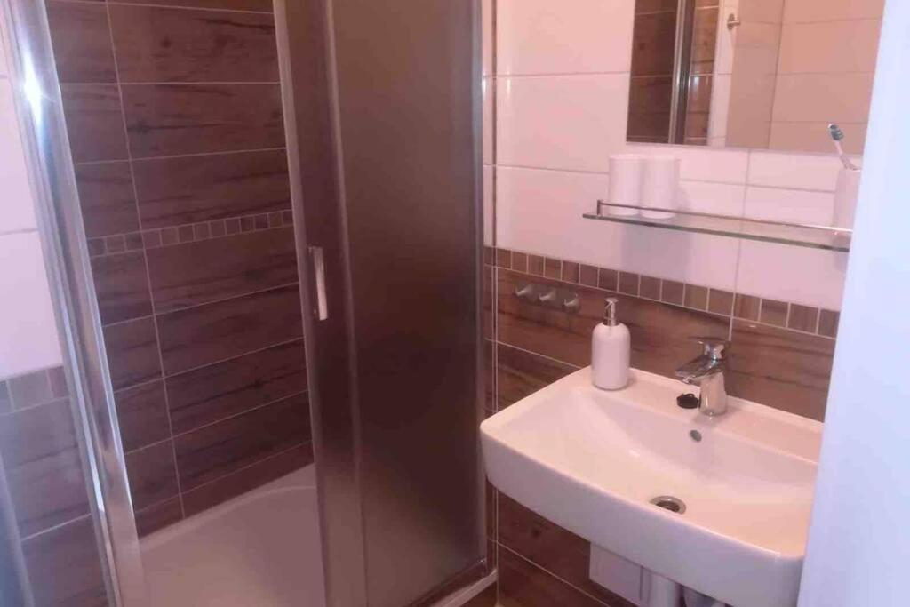 Apartman Jakub Sklar Zelezna Ruda Exterior photo